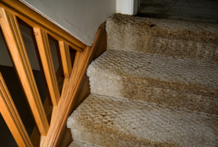 carpet stairs with water damage in need of Water Damage Clean Up in Glenview, Northfield, Chicago, Des Plaines, Niles, Park Ridge, IL