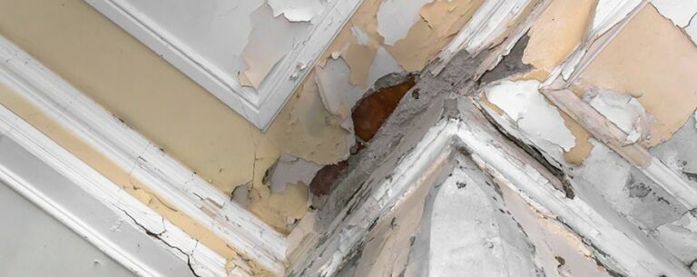 Picture of How to Dry Wet Carpet Fast at Home: 8 Proven Tips from Water Damage ...